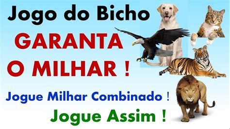 milhar 7777 jogo do bicho